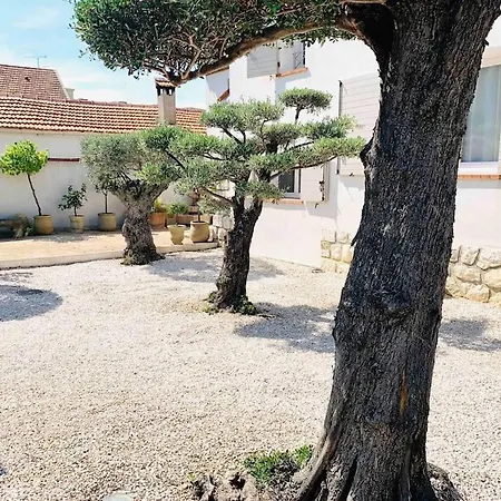 Et A 50 M Piscine Proche Centre Villa